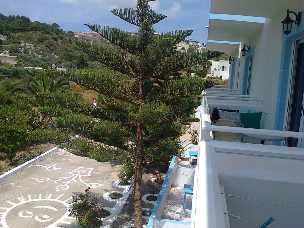Dionysia Apartments Kéfalos Zewnętrze zdjęcie